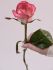 Роза Джумилия 50 см